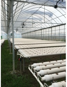 INVERNADERO HIDROPONICO 100 MTS2 CON SISTEMA NFT 2